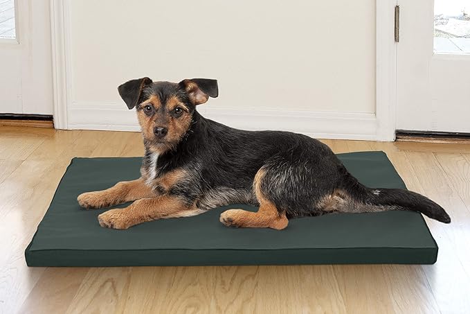 Furhaven Water-Resistant Dog Bed for Extra Small Dogs w/ Removable Washable Cover, Perfect for Crates & Kennels, For Dogs Up to 12 lbs - Two-Tone Reversible Crate Pad - Green/Gray, Extra Small