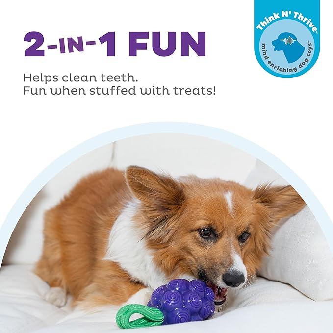 Outward Hound Dental Grapes Dental Chew Toy and Interactive Treat Stuffer Durable Dog Toy Stuffable Dog Toy, Medium, Purple