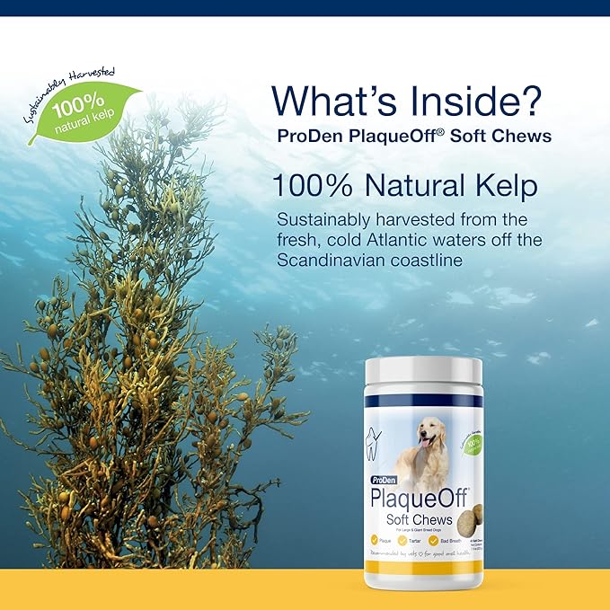 ProDen PlaqueOff Soft Chews with Natural Kelp - for Large & Giant Breed Dogs - Supports Normal, Healthy Teeth, Gums, and Breath Odor in Dogs - 45 Soft Chews
