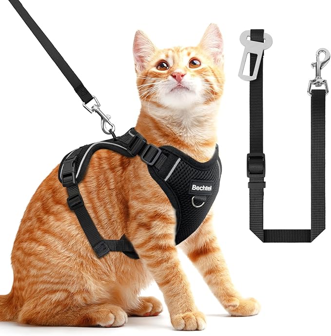 Cat Car Harness and Leash for Walking, The Upgrade Can be Adjusted in Four Directions and Breathable Cat Harness for Anti Escape That can be Fitted and Positioned, Reflective Strips Harness, Black, S