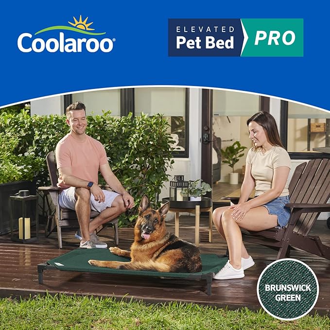 COOLAROO Cooling Elevated Dog Bed PRO, Standard, Fits in 48In Crate, Easy Assembly Frame, Brunswick Green.