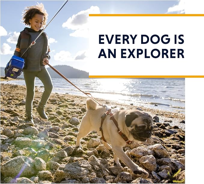 Ruffwear, Front Range Dog Leash, 5 ft Lead with Padded Handle for Everyday Walking, Red Clay