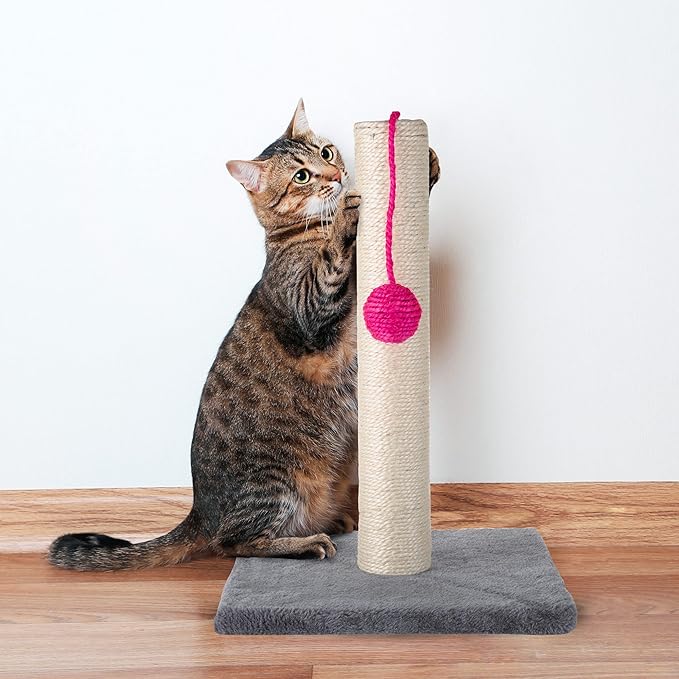 17-Inch Cat Scratching Post - Sisal Rope and Carpet Scratching Pole with Bright Pink Hanging Ball Toy for Adult Cats and Kittens by PETMAKER (Gray)