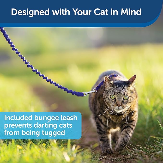 PetSafe Come with Me Kitty Harness and Bungee Leash, Harness for Cats, Small, Royal Blue/Navy