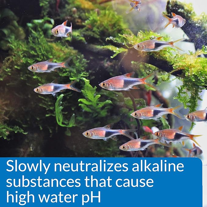 API pH DOWN Freshwater Aquarium Water pH Reducing Solution 4-Ounce Bottle