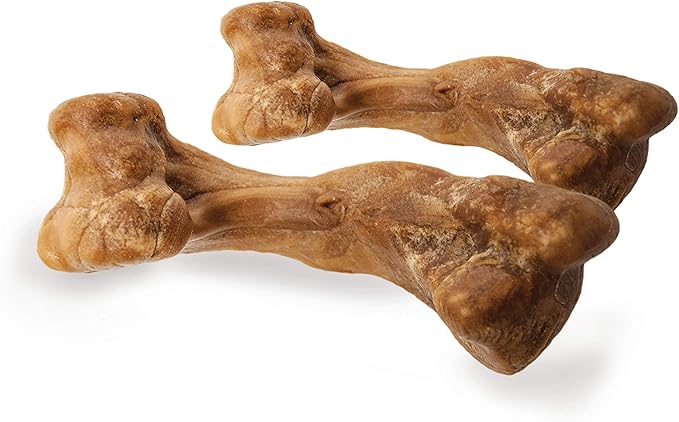 Nylabone Healthy Edibles WILD Natural Long-Lasting Turkey Flavor Bone Chew Treats for Dogs, Small/Regular (4 Count)