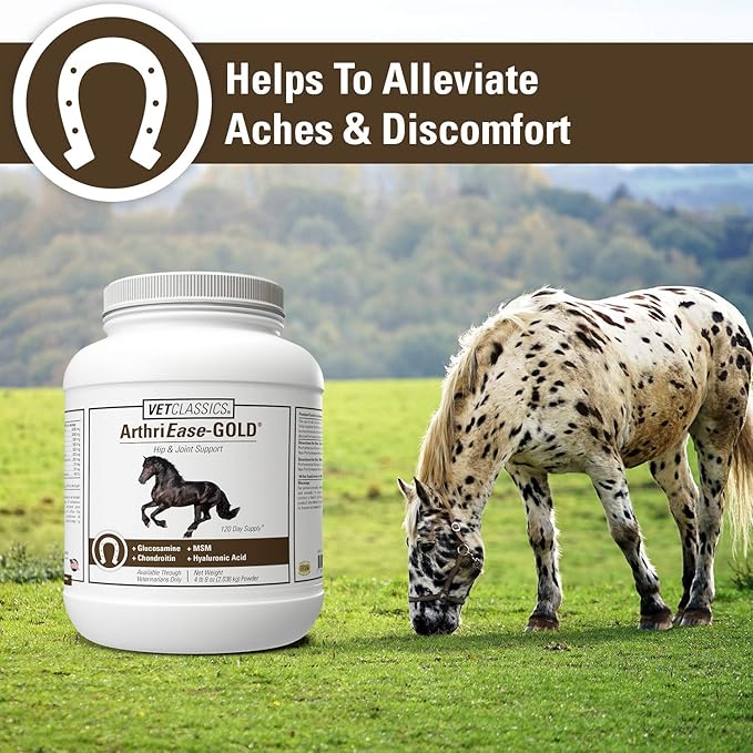 Vet Classics ArthriEase-Gold Joint Formula for Horses, Glucosamine, Chondroitin, Hyaluronic Acid & MSM Supports Joint Function & Flexibility, Alleviates Aches & Discomfort, 4 lb Powder, 120 Day Supply