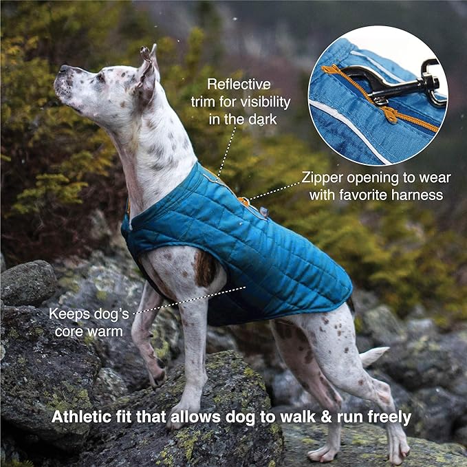 Kurgo Loft Dog Jacket, Reversible Winter Coat for Dogs, Wear with Harness or Sweater, Water Resistant, Reflective, for Small Medium Large Pets (Fall Festival, S)