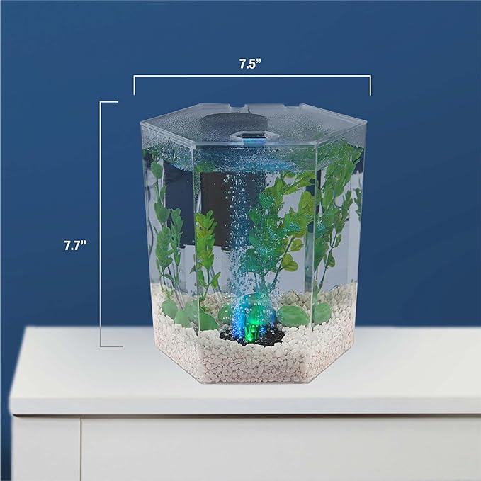 Tetra Bubbling LED Aquarium Kit 1 Gallon, Hexagon Shape, With Color-Changing Light Disc,Green (Packaging may vary)