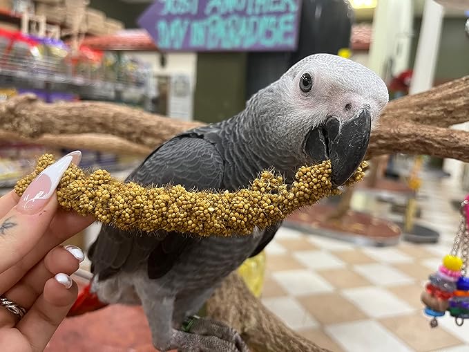 Birds LOVE Economy & Thin Special Spray Millet GMO-Free (No Stems Only Edible Tops) for Birds Cockatiel Lovebird Parakeet Finch Canary All Parrots Healthy Treat - 7oz