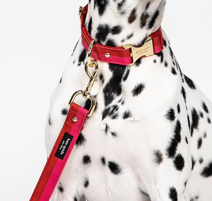 Kate Spade New York Cute Dog Collar, Gold Metal Buckle Dog Collar, 15.5" to 24" Adjustable Dog Collar for Female or Male Dogs, Stylish Dog Collar for Medium and Large Breeds (Red and Pink)