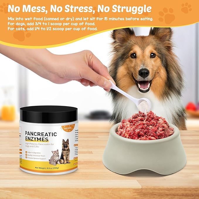 8.8 Ounces Pancreatic Enzymes for Dogs - 10x Pancreatin - Dog Digestive Enzymes Powder for EPI - Helps Restore Normal Weight, Supports Pancreatic Issues and Relieves Digestive Stress