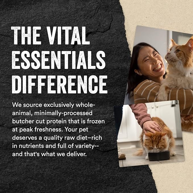 Vital Essentials Freeze Dried Raw Single Ingredient Cat Treats, Duck Liver, 0.9 oz