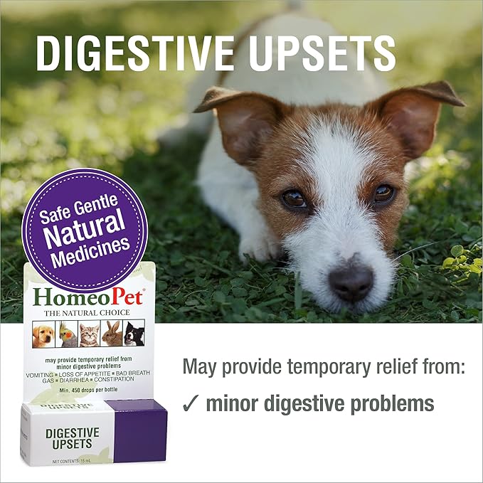 HomeoPet Digestive Upsets, Natural Pet Digestive Support, Digestive Supplement for Dogs, Cats, and Small Pets, 15 Milliliters