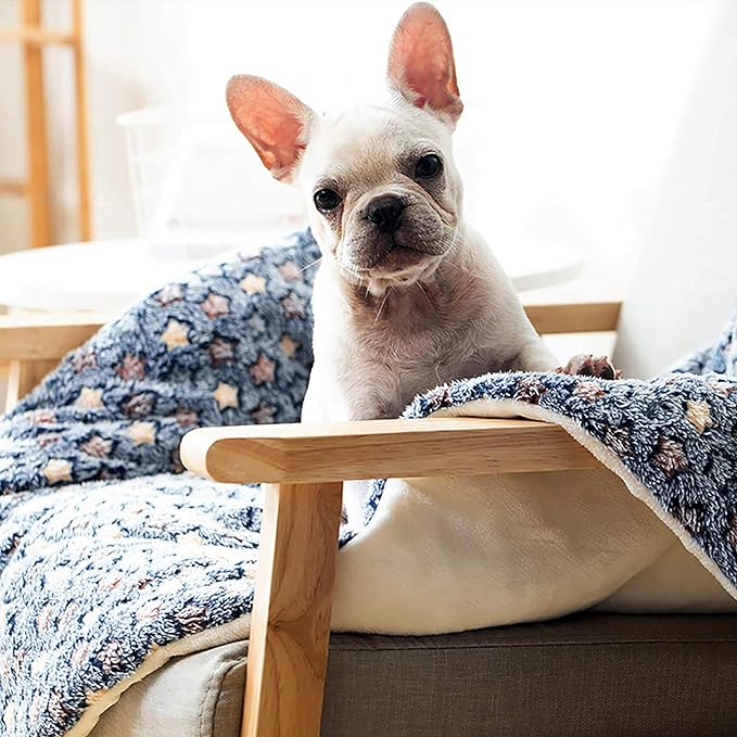 Pet Blanket Premium Fluffy Flannel Cushion Soft and Warm Mat for Dogs Cats Medium Size Animal Blue Stars