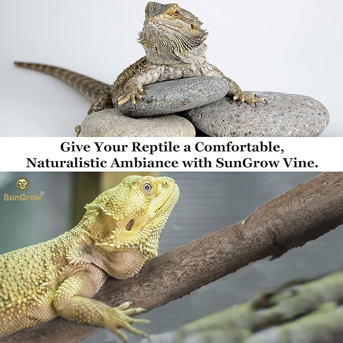 SunGrow 6 ft Reptile Vine for Terrarium, Flexible Climber Lizard Tank Decor, Ball Python Snake Climbing Accessories, Twistable and Bendable Habitat Decor Terrarium Vines for Chameleon, Bearded Dragon