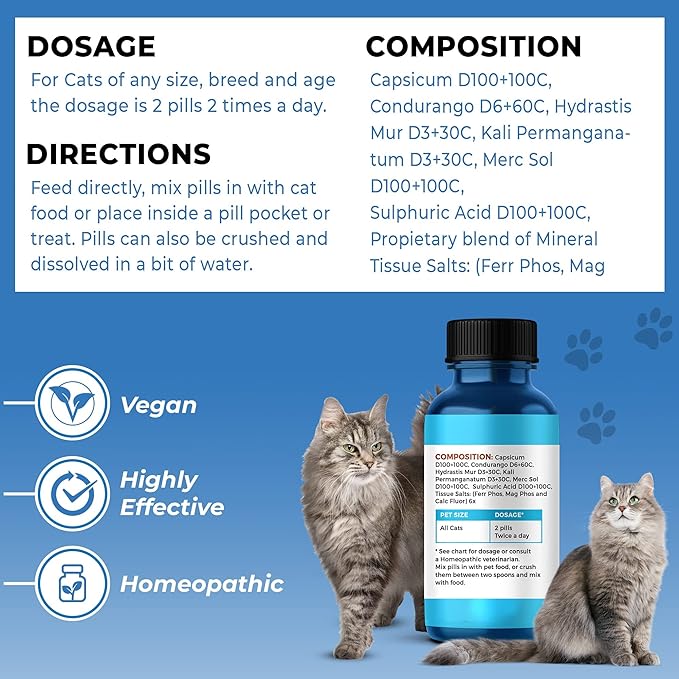 BestLife4Pets Oral Health for Cats - Cat Dental Care Supplement for Stomatitis Gingivitis and Gum Disease Cat Supplies for Dental Care - Easy to Use Pills (2 Pack)