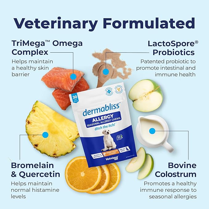 Vetnique Dermabliss Dog Allergy Relief & Immune Support Supplement Allergy Chews for Dogs Itching and Licking with Omega 3 Fish Oil & Probiotics for Itch Relief - Vet Recommended (30ct Chews)