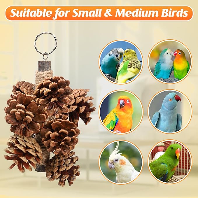 Bird Toys Parrot Toys - Bird Chewing Toy with Natural Pine Cones for Small and Medium-Sized Parakeets Cockatiels Conures Lovebirds Cockatoos African Grey Amazon Parrots