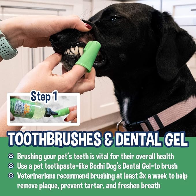 Bodhi Dog Pet Dental Gel | New Thicker Formula | Plaque Remover & Breath Freshener | Toothpaste for Dogs and Cats | Made in USA | 8oz (240ml)