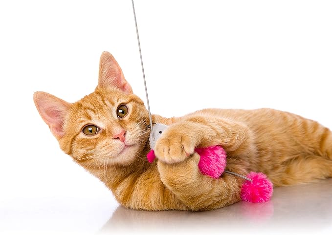 Hartz Just For Cats Bend-A-Wand Cat Toy