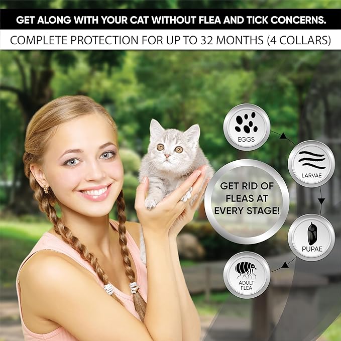 Flea Collar for Cats: 4 Pack Cat Flea Collar - Flea and Tick Collar for Cats - Cat Flea and Tick Collar - Kitten Flea Collar, 4 Pack