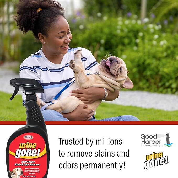 Urine Gone Stain & Odor Eliminator: Professional Strength Fast Acting, Enzyme Based Home Cleaning Solution for Carpet, Stain Remover for Cat Urine & Dog Pee