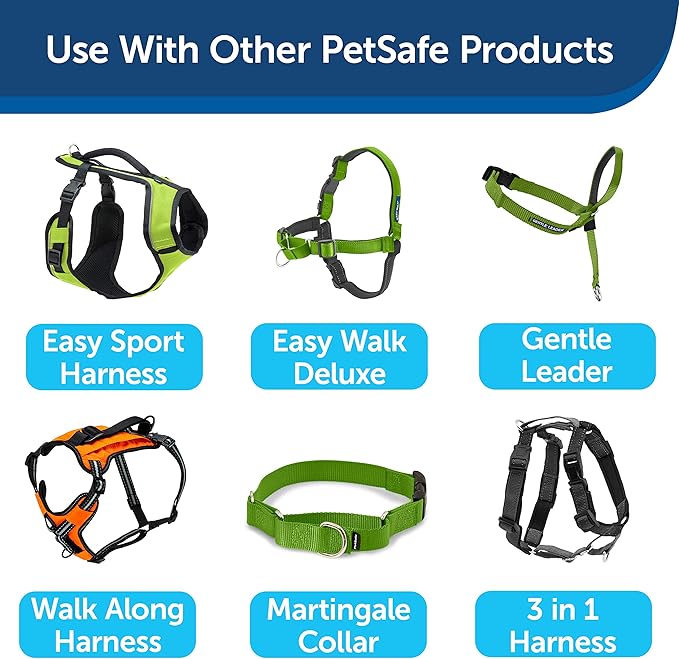 PetSafe Nylon Dog Leash - Strong, Durable, Traditional Style Leash with Easy to Use Bolt Snap - 1 in. x 6 ft., Apple Green