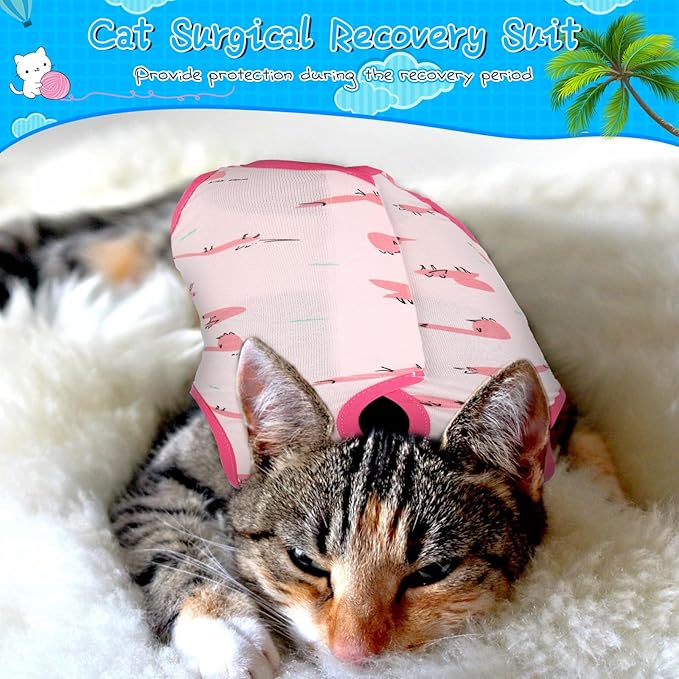 6 Set Cat Recovery Suit After Surgery Female and Male Cat Surgery Suit Kitten Recovery Suit E Collar Alternative Pajama Cat Clothes for Spay Suit Abdominal Skin Anti Licking(Animal,Large)