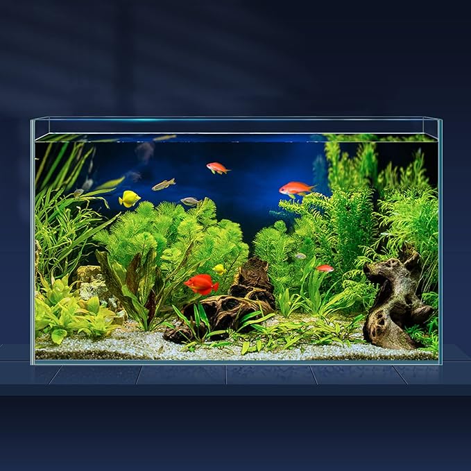 10 Gallon Ultra Clear Glass Fish Tank, Rimless Low Iron Aquarium for Betta/Nano/Goldfish/Snail/Shrimp, Big Fish Tank & Cover Set & Feeding Ring & Cleaning Tools