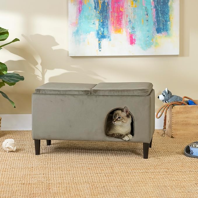 Paws & Purrs Modern 32" Wide Pet Ottoman Bed for Small to Medium Dog or Cat, 32.0" L x 16.0" W x 18.8" Th, Ash