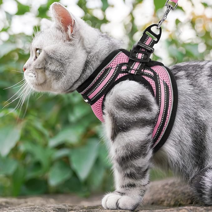 rabbitgoo Cat Harness and Leash Set for Walking Escape Proof, Adjustable Soft Kittens Vest with Reflective Strip for Cats, Comfortable Outdoor Vest, Pink, L