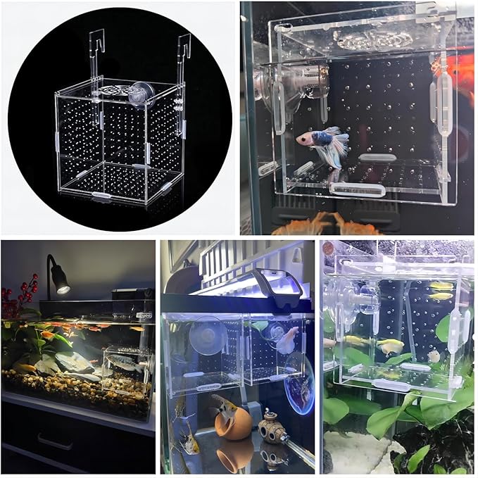 Acrylic Fish Breeding Box, Aquarium Breeding Isolation Box, Transparent Fish Breeder Box for Fish Tank, Hatchery Incubator for Shrimp Guppy Clownfish Small Fish (3.9 * 3.9 * 3.9inch)