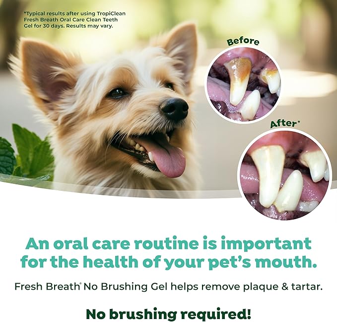 TropiClean No Brushing Gel | No more Dog Toothpaste and Toothbrush | Breath Gel for Dogs | Dental Gel Plaque Remover | Made in the USA | 4 oz.