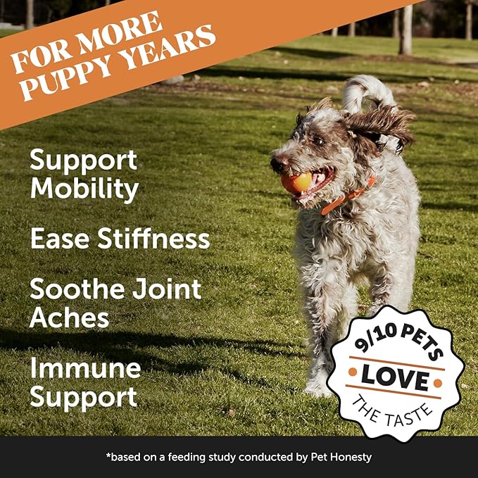 Pet Honesty Hip & Joint Turmeric Health - Joint Supplement for Dogs, Omega-3 Fish Oil, Turmeric Support Joint Health, Ease Stiffness - Advanced Pet Joint Support and Mobility - 90 Ct (Pumpkin)