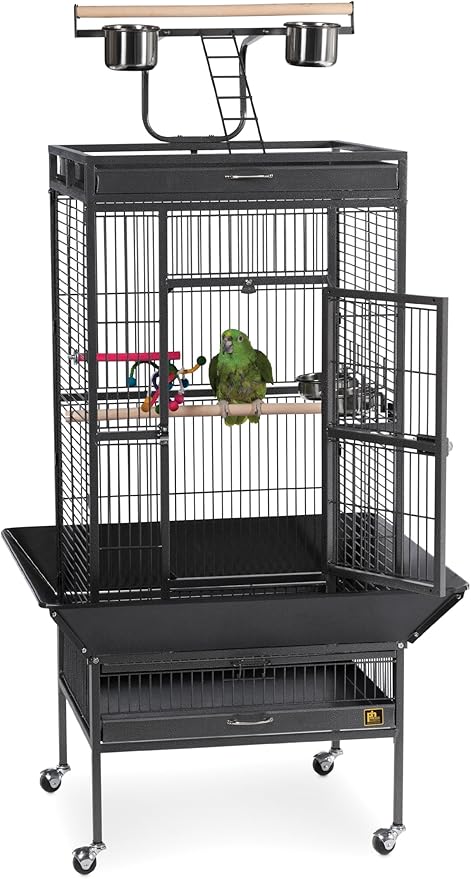 Prevue Pet Products 3152BLK Wrought Iron Select Bird Cage, Black Hammertone