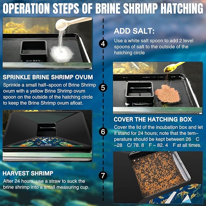 LEIFIDE Brine Shrimp Hatchery Incubator Kit Brine Shrimp Hatchery Dish, Efficient and Easy Brine Shrimp Hatchery Collect with Brine Shrimp Net, Measuring Cup, Brine Shrimp Eggs Spoon, Shrimp Dropper