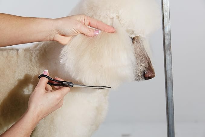 Andis Straight Shears, Right-Handed, Professional Dog and Cat Grooming