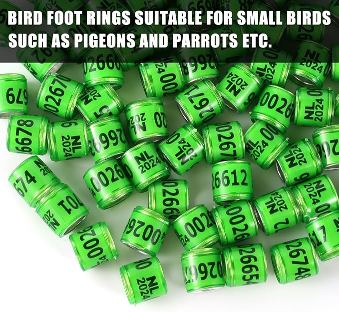 50Pcs Multicolor Aluminium Pigeon Leg Rings with 2024 NL Training Identify Birds Foot Ring Identify 8mm Plastic Bird Leg Bands (Green)