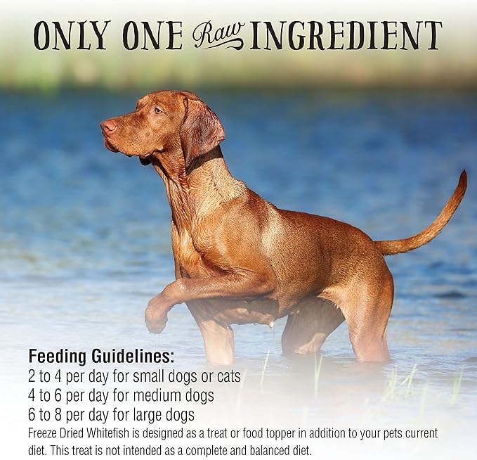 Northwest Naturals Raw Rewards Freeze-Dried Whitefish Treats for Dogs and Cats - Bite-Sized Pieces - Healthy, 1 Ingredient, Human Grade Pet Food, All Natural - 10 Oz (Packaging May Vary)