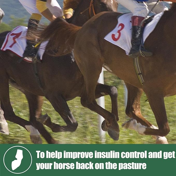 Insulin Resistance Supplement for Horses, Herbal Formulated for High Insulin, Chronic Laminitis, Cushing's Syndrome, Sore Feet, Blood Sugar Reduction & Metabolic Enhancement, 0.44 lbs