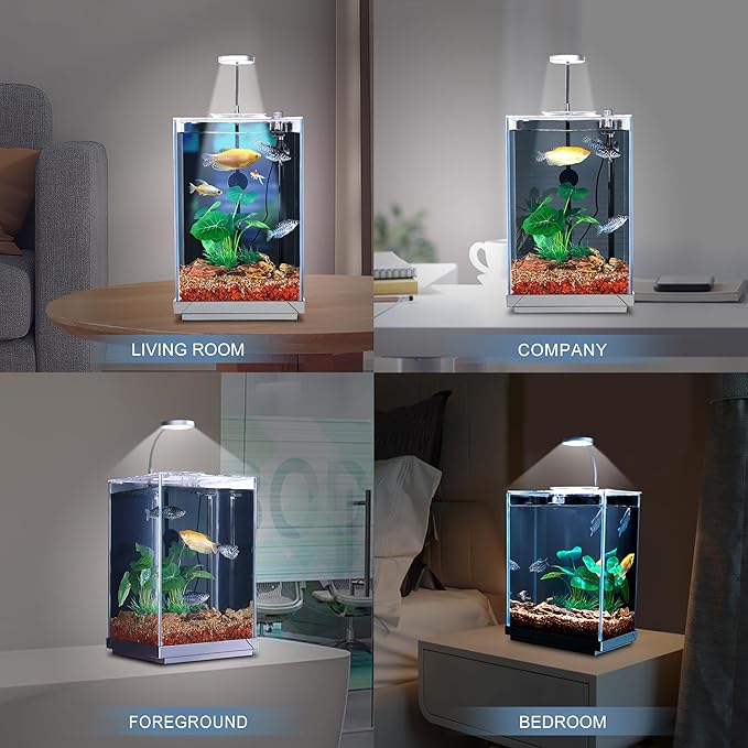 3 Gallon Aquarium Fish Tank AIO Starter Kit, including HD Float Glass Small Aquarium, Self-Cleaning Bottom Filter, Light, Substrate, Plants, Cleaning Tool Set. Beginner's Gift for Betta, Guppy, Shrimp