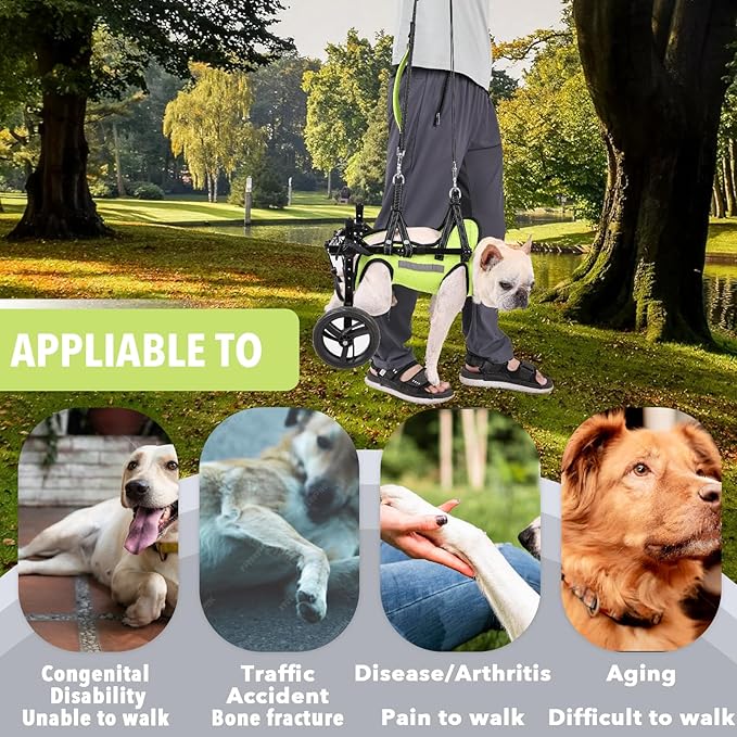 𝑵𝑬𝑾 Adjustable Dog Wheelchair With High-visibility Clothing, Dog Leash, Sling Lift Dog Wheelchair for Back Legs, Max 22 Pound, Wheelchair for paralyzed Injured Lame Disabled Handicapped Dogs -M