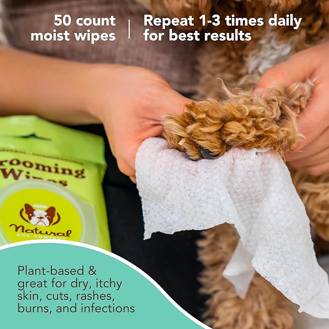 Natural Dog Company Grooming Wipes with Aloe Vera, Cleanses, Soothes, & Deodorizes, Fragrance Free, Hypoallergenic, Biodegradable Wipes - Dog Wipes for Ear, Paws, Face and Butt Wipes (200 Wipes)