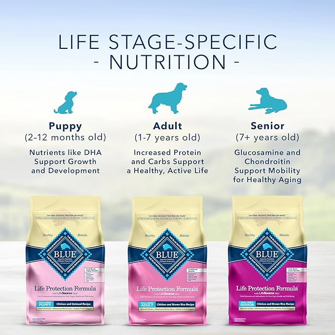 Blue Buffalo Life Protection Formula Natural Senior Small Breed Dry Dog Food, Chicken and Brown Rice 5-lb Trial Size Bag