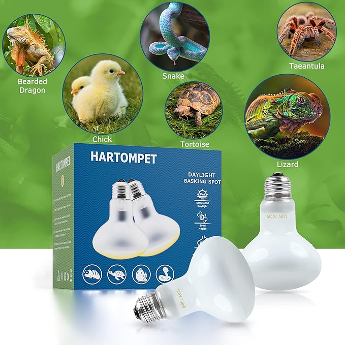 Reptile Heat Lamp Bulbs 100W E26 - UVA Basking Spot Light for Reptiles - Simulated Sunlight Terrarium Heat Lamps - Ideal for Bearded Dragon, Lizard, Tortoise, chickss and More | Pack of 2