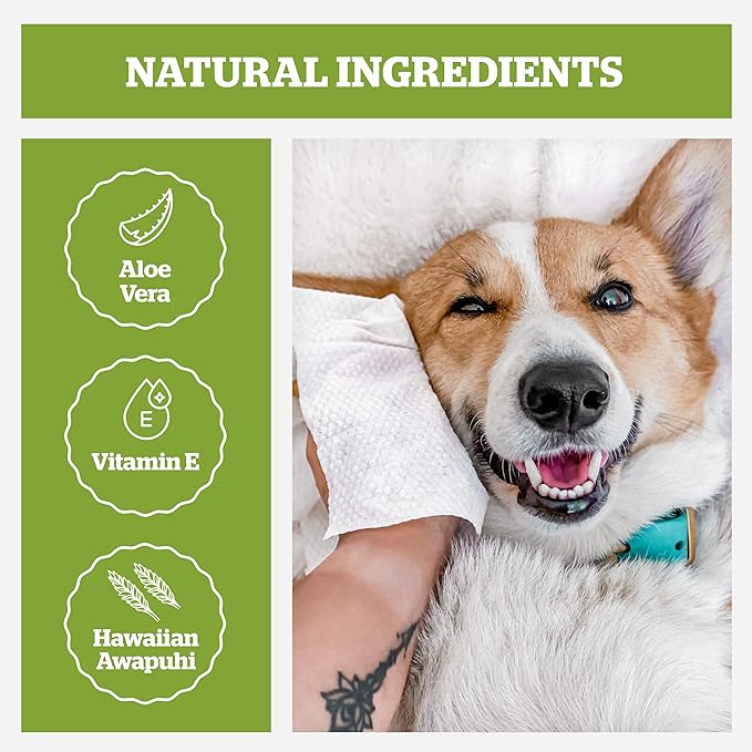 Pogi's Dog Grooming Wipes Travel Packs - 240 Dog Wipes for Cleaning and Deodorizing - Hypoallergenic Pet Wipes for Dogs, Puppy Wipes - Quick Bath Dog Wipes for Paws, Butt, & Body - Green Tea Scented