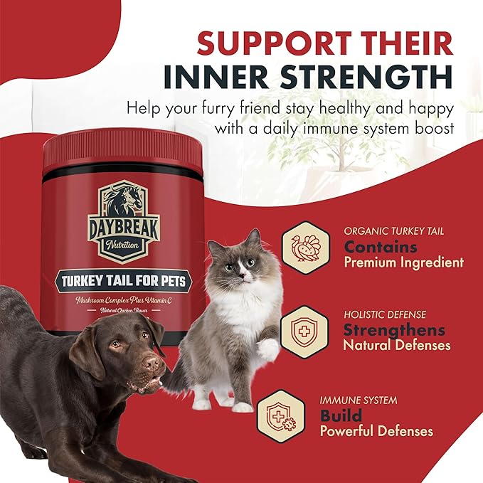 Turkey Tail for Dogs and Cats by Daybreak Nutrition | Premium Blend of Turkey Tail, Shiitake, & Reishi Mushrooms | Immunity Supplement for Pets | Provide an Immunity Boost for Dogs and Cats | 2.1 oz