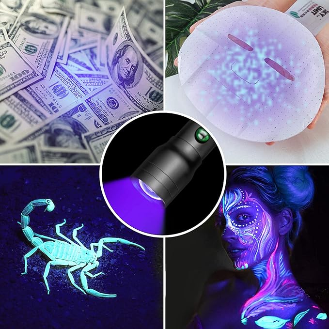 UV Flashlight USB C Rechargeable, 395nm Blacklight Flashlight, Zoomable Ultraviolet Pen Flashlight IP54 Pet Urine Detector for Cat Dog Stains, Scorpion, Bed Bug