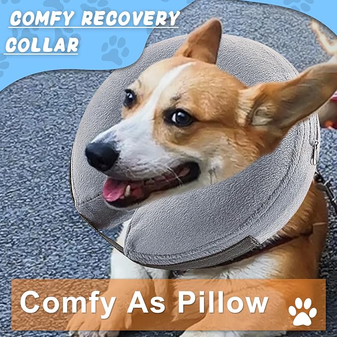 Inflatable Dog Cone Collar (M Size), Soft Blow-up Protective Recovery Dog Collar, Pet Donut Cone Collar, Comfy Elizabethan Collar After Surgery for Medium Dog to Prevent Biting Scratching, Grey